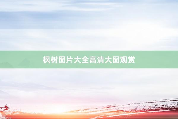 枫树图片大全高清大图观赏